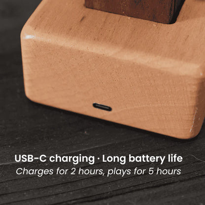 🔥Artisan Wooden Manta Ray Automaton